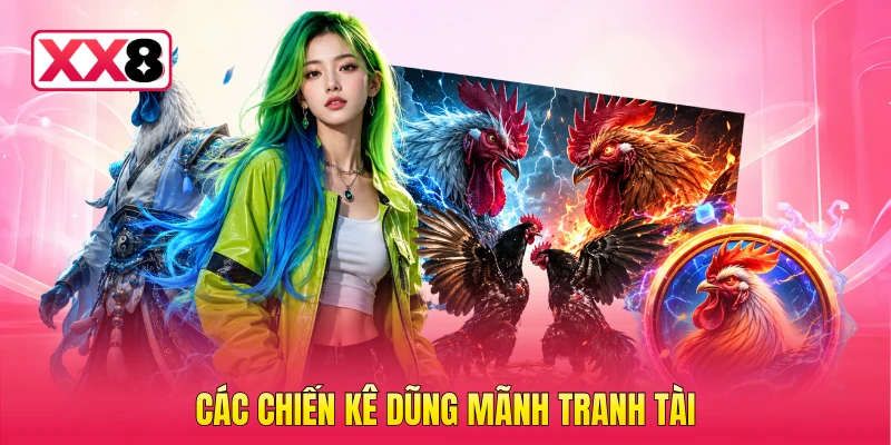 Các chiến kê dũng mãnh tranh tài